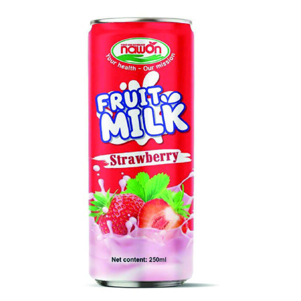 FRUIT MILK ERDBEERE